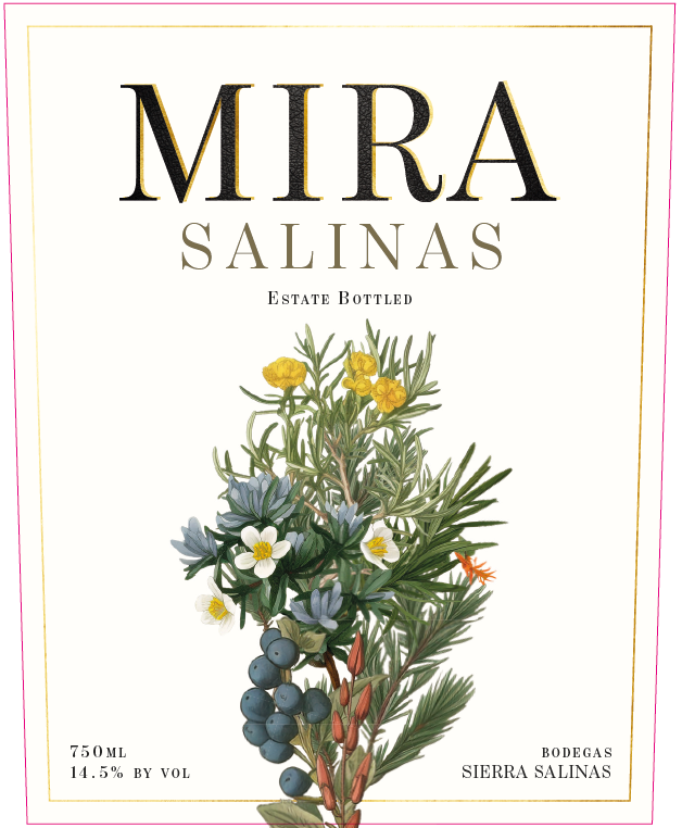 Mira Salinas