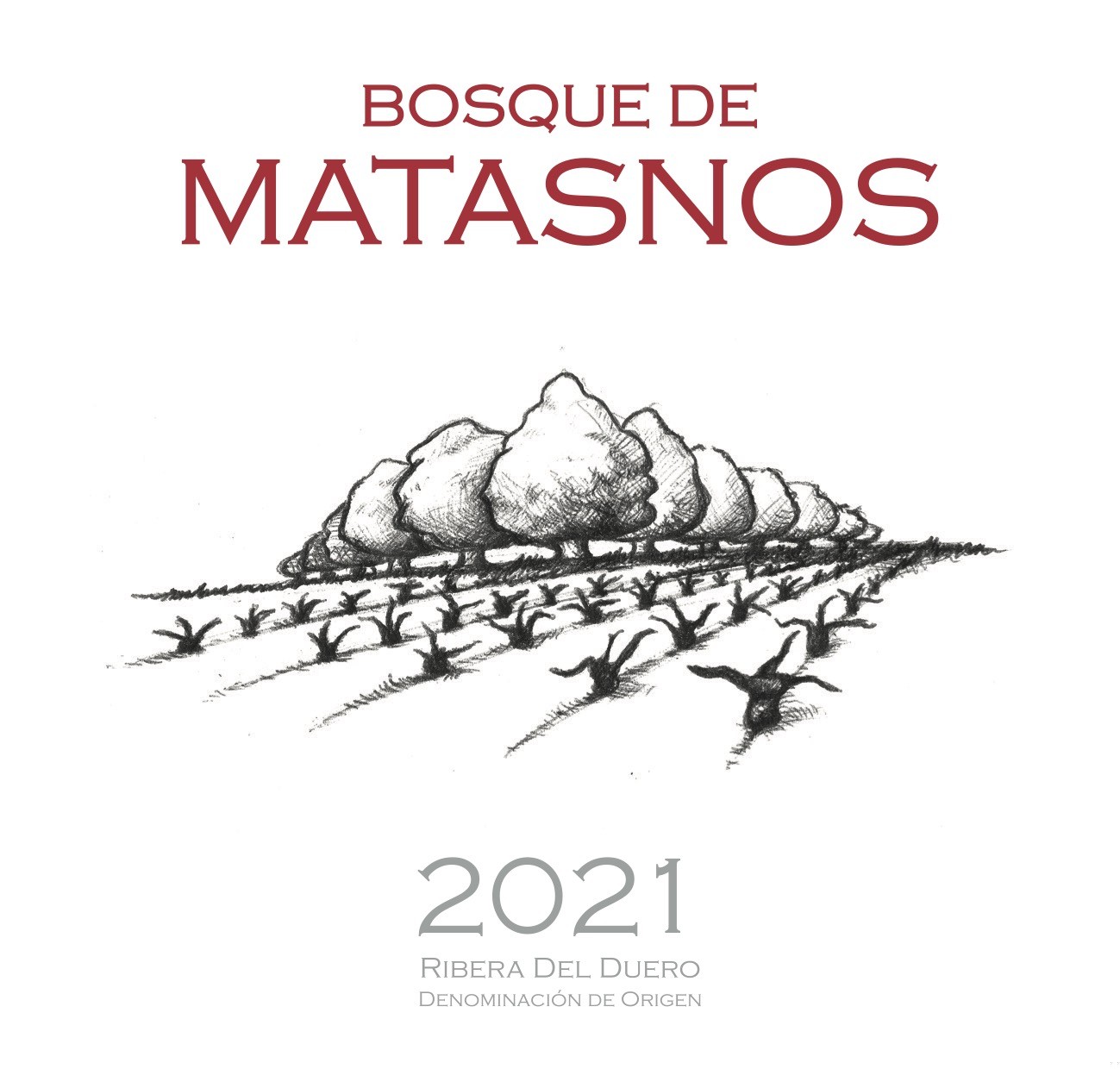 Bosque De Matasnos Red Wine