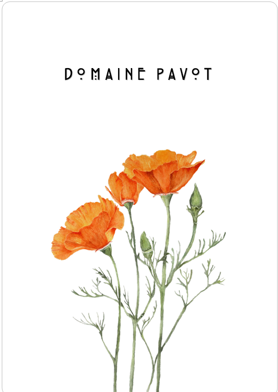 Domaine Pavot Blanc