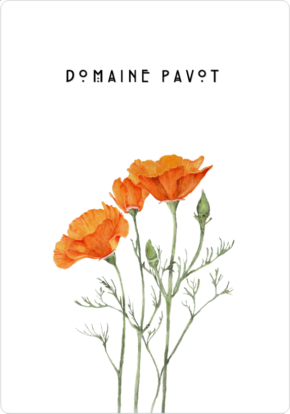 Domaine Pavot - Rouge