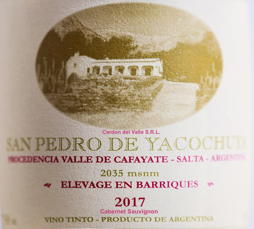 San Francisco De Yacochuya