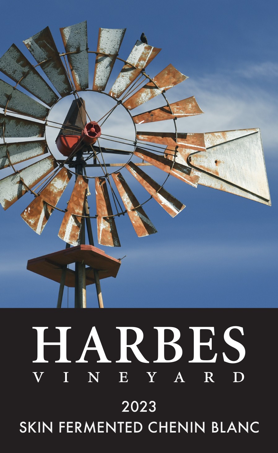 Skin Fermented Chenin Blanc