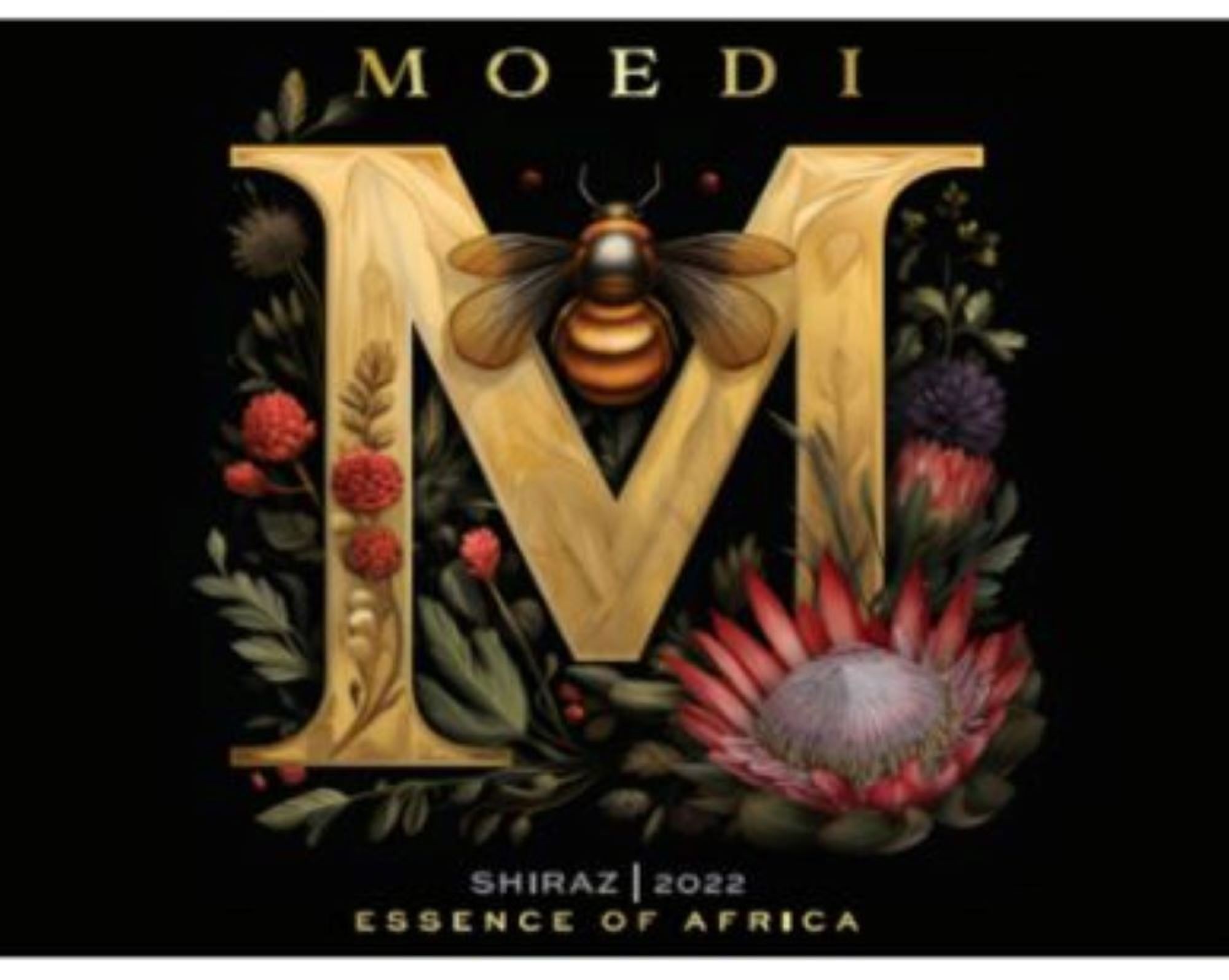 Moedi Shiraz