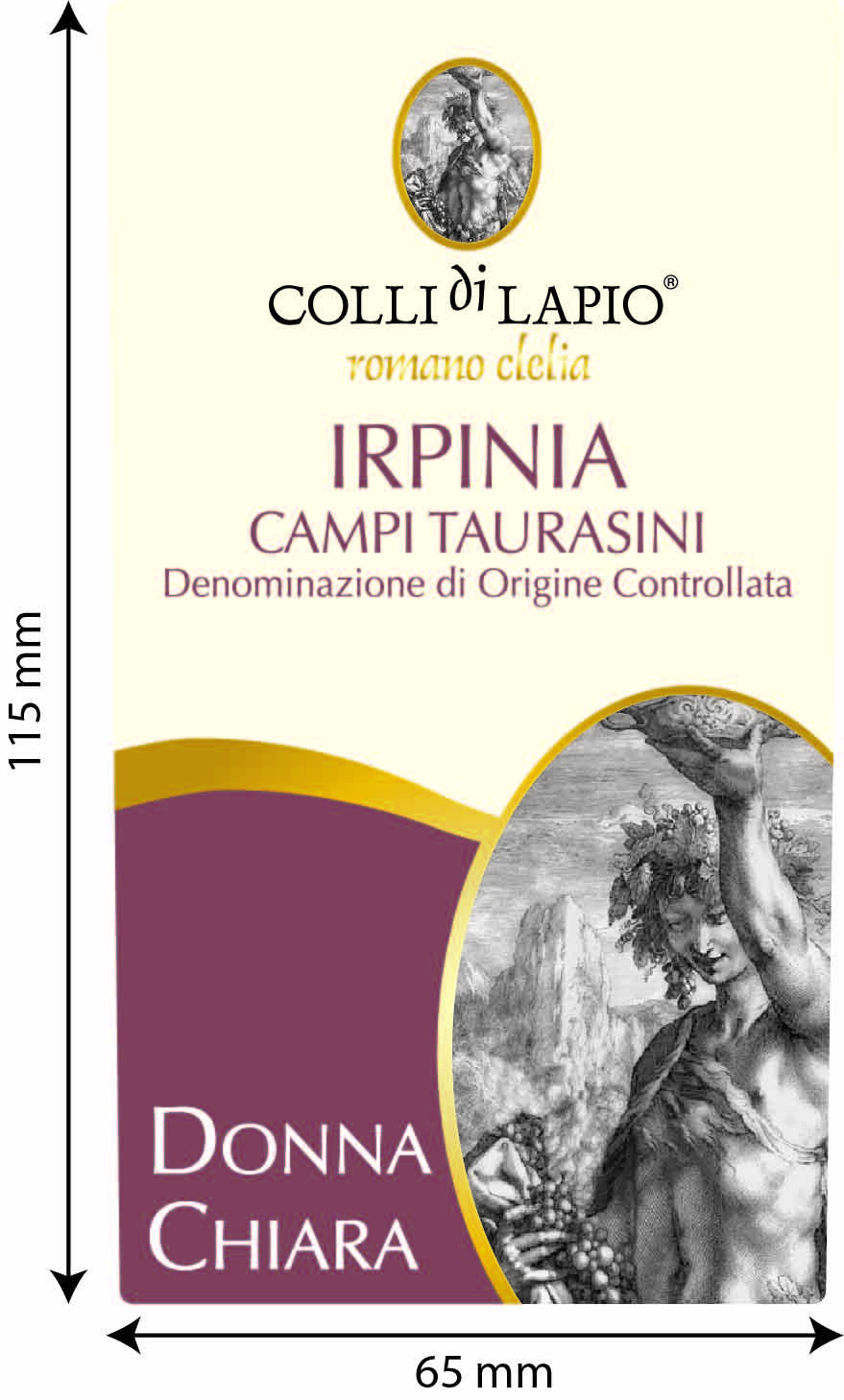 Campi Taurasini