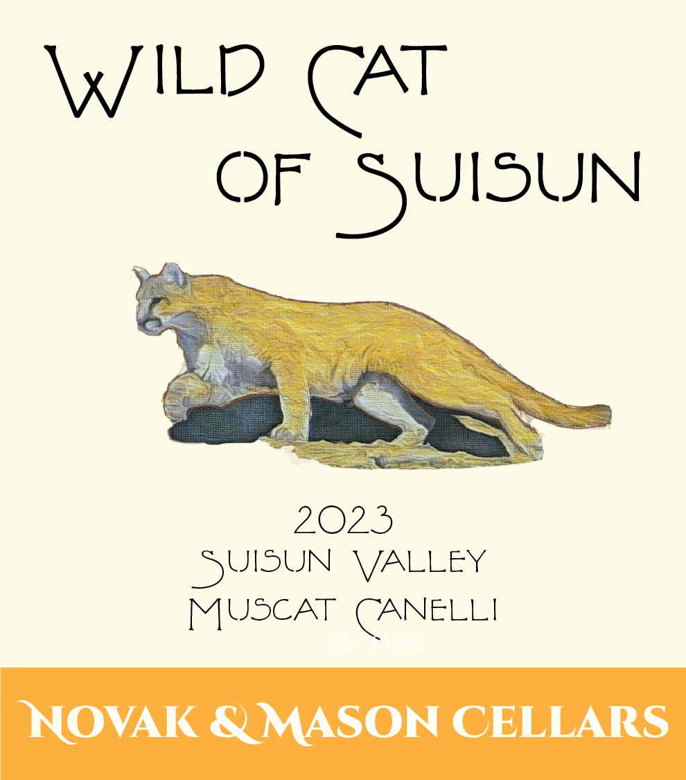 Wild Cat Of Suisun