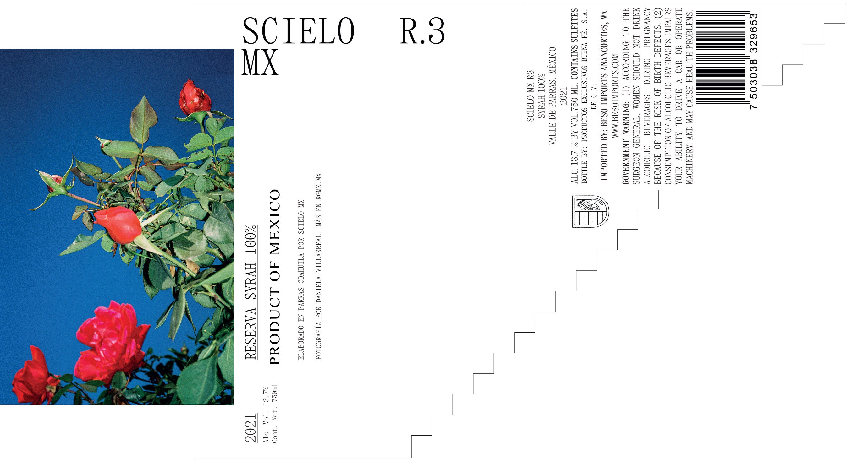 Scielo R.3