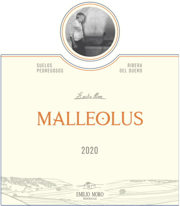 Malleolus