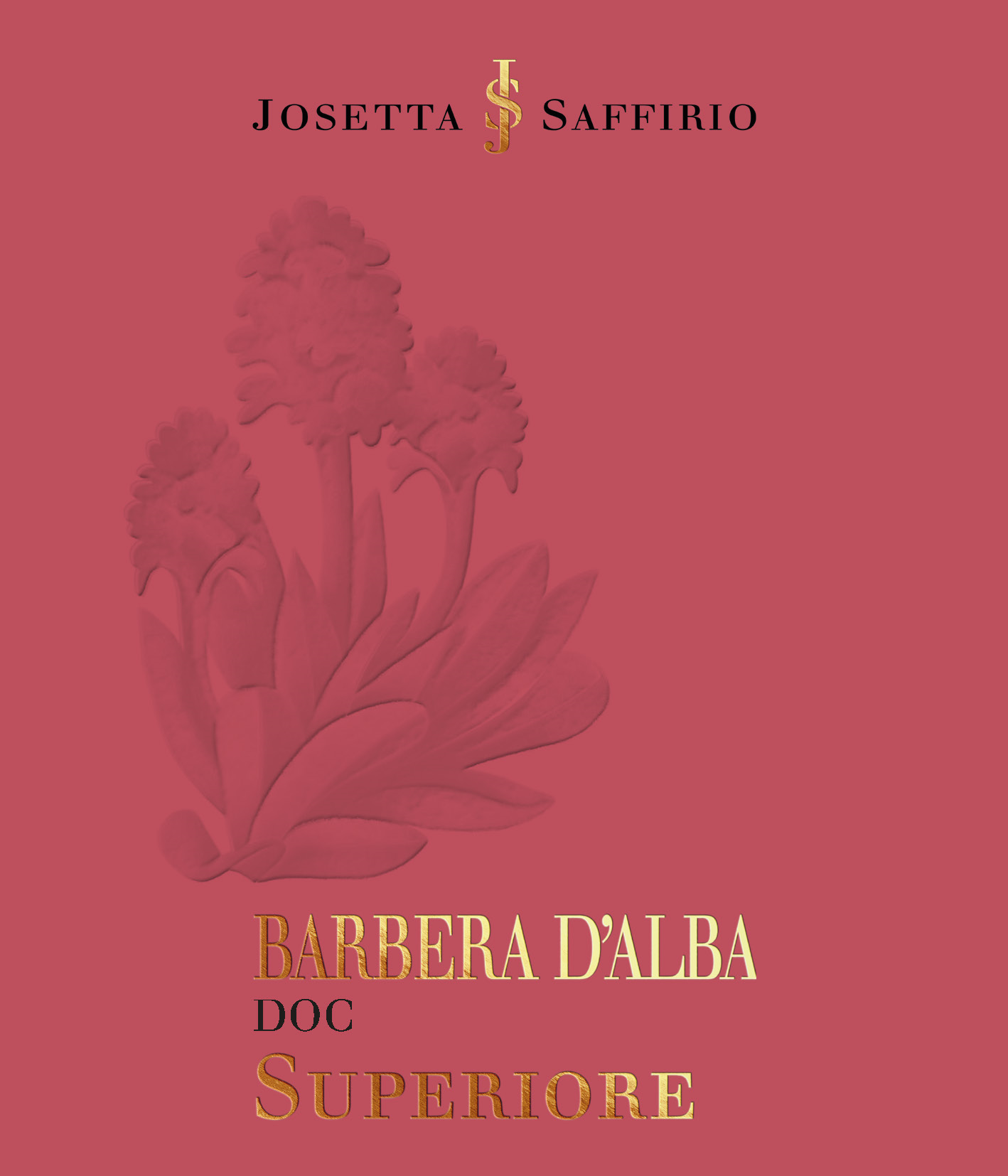 Saffirio Doc Barbera D'alba Superiore
