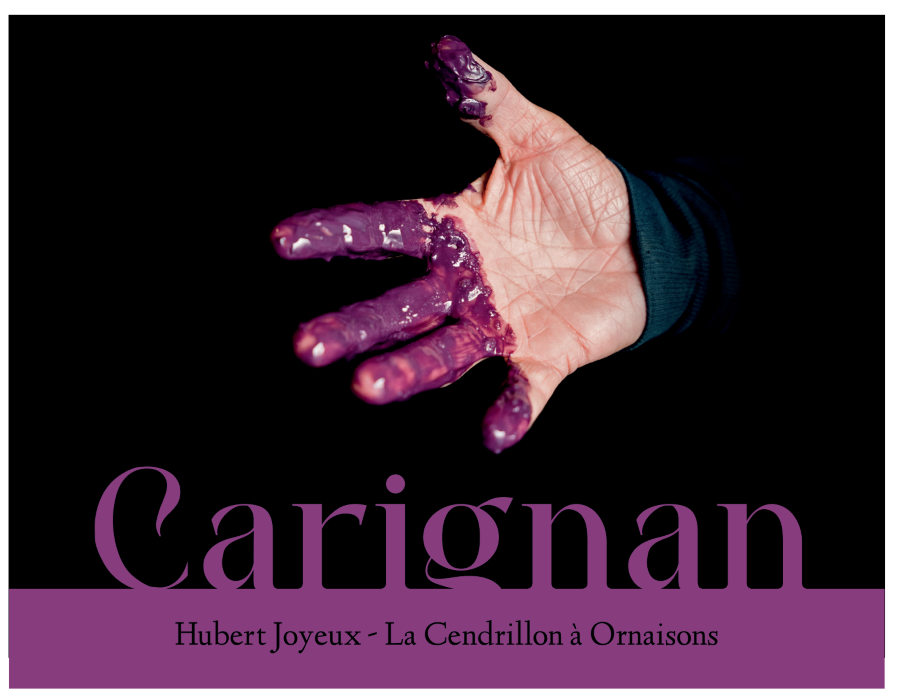 Carignan Vin De France