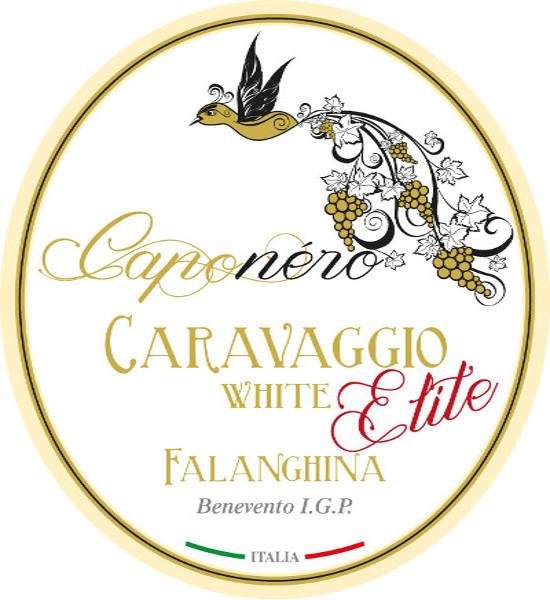 Caravaggio Elite White