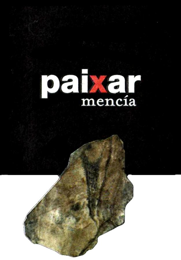 Paixar