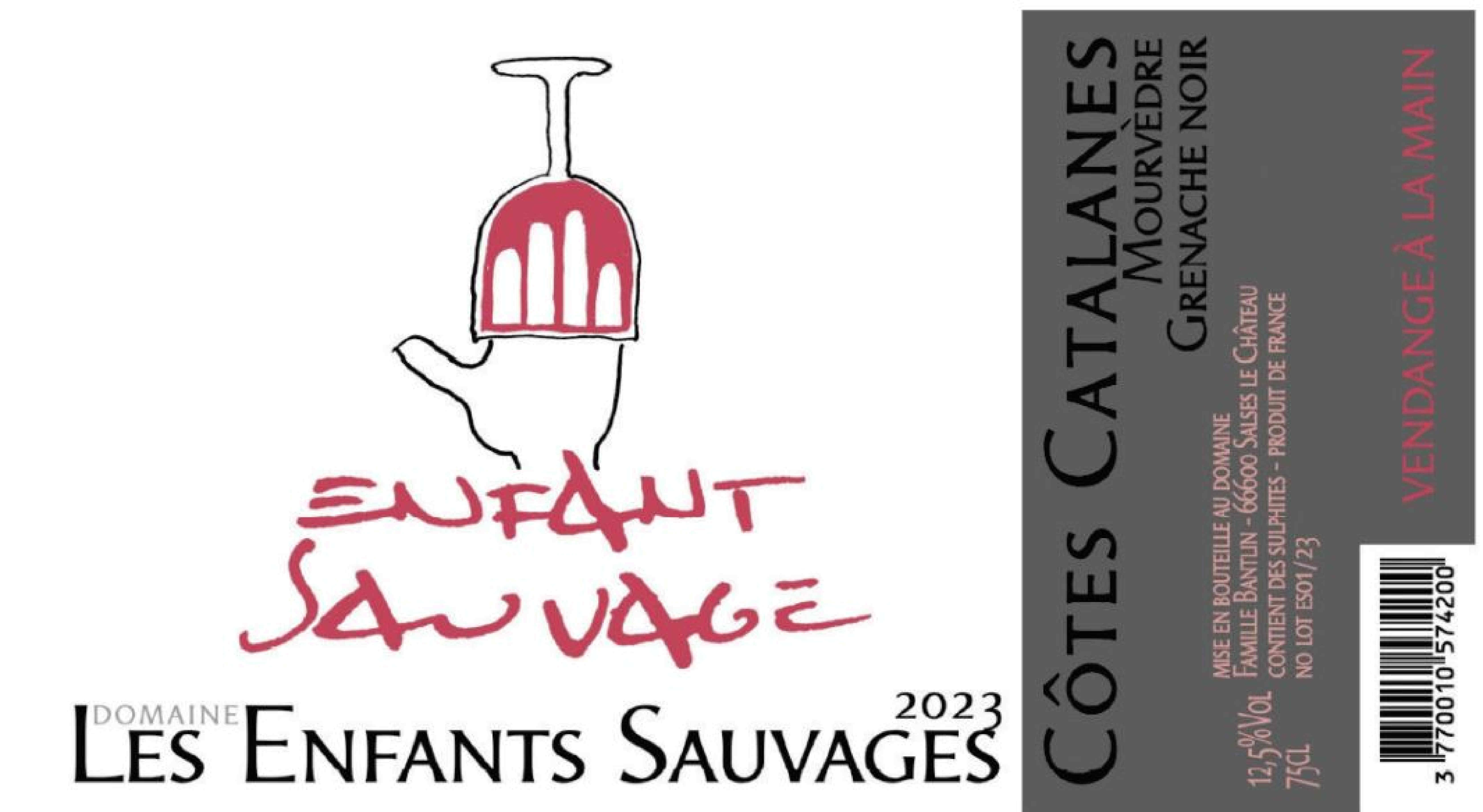 Enfants Sauvages