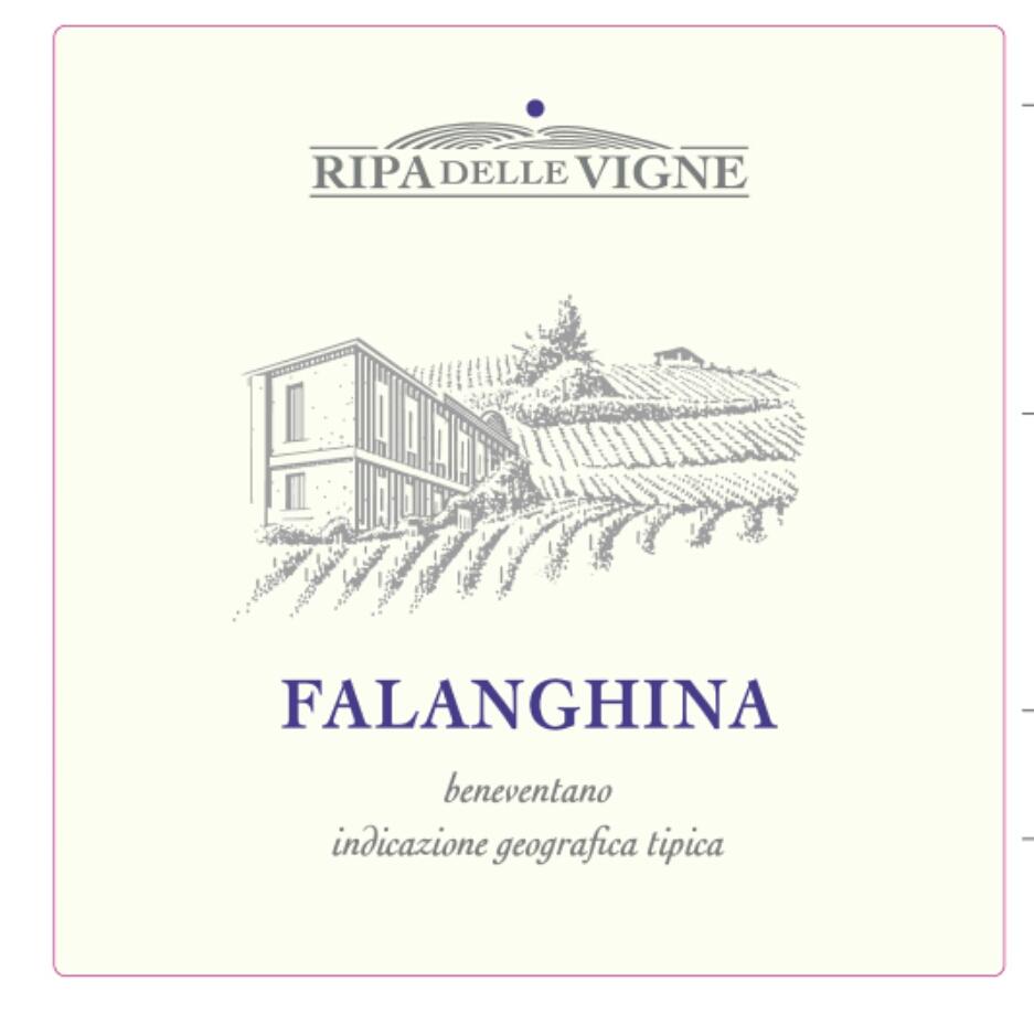 Ripa Delle Vigne