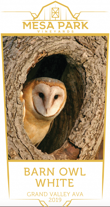 Barn Owl White