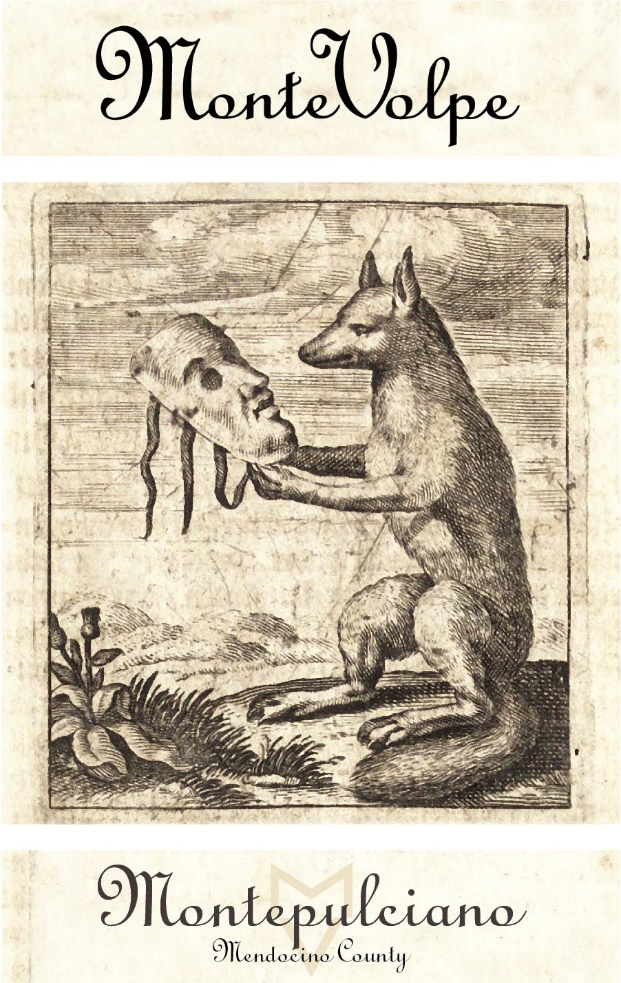 Monte Volpe Montepulciano