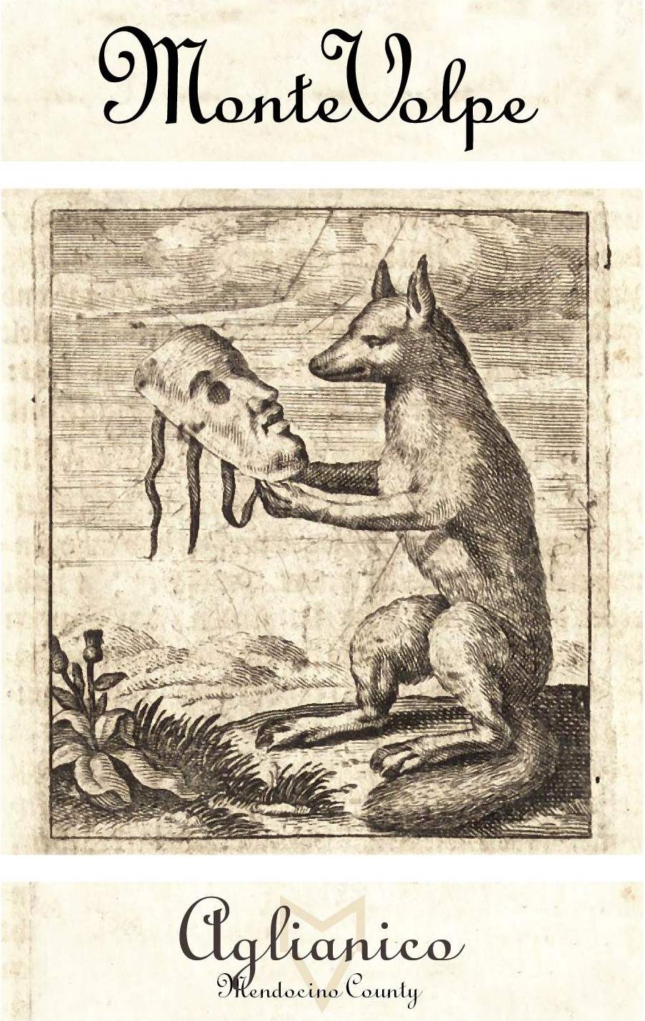 Aglianico Mendocino County