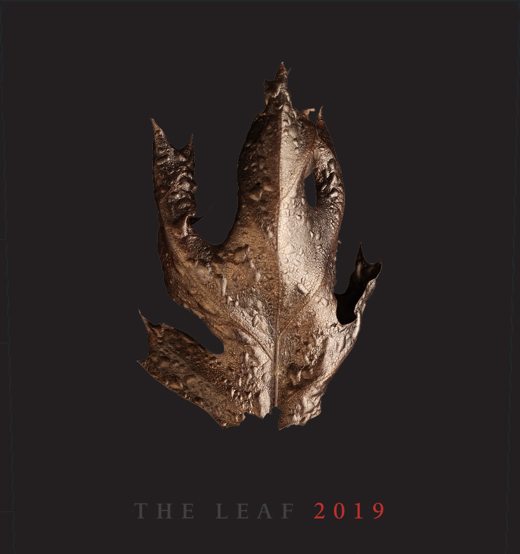 The Leaf Obsidian Ridge Vineyard