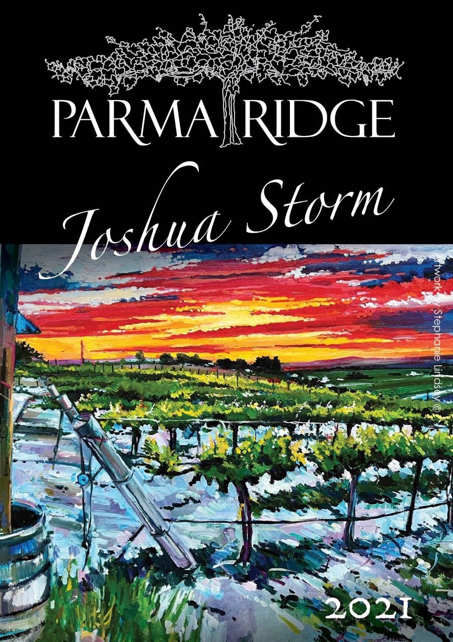 Joshua Storm