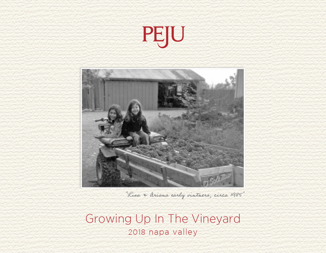Growing Up In The Vineyard