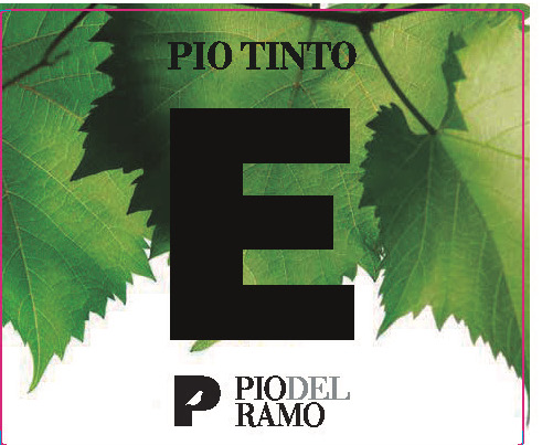 Pio Tinto E