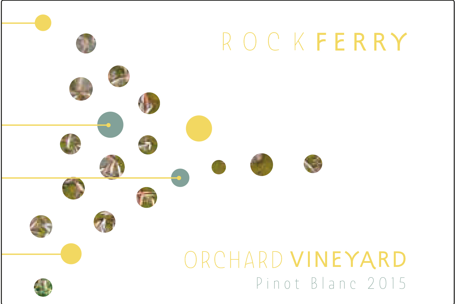 Orchard Vineyard