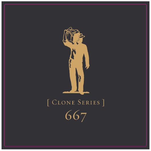 667