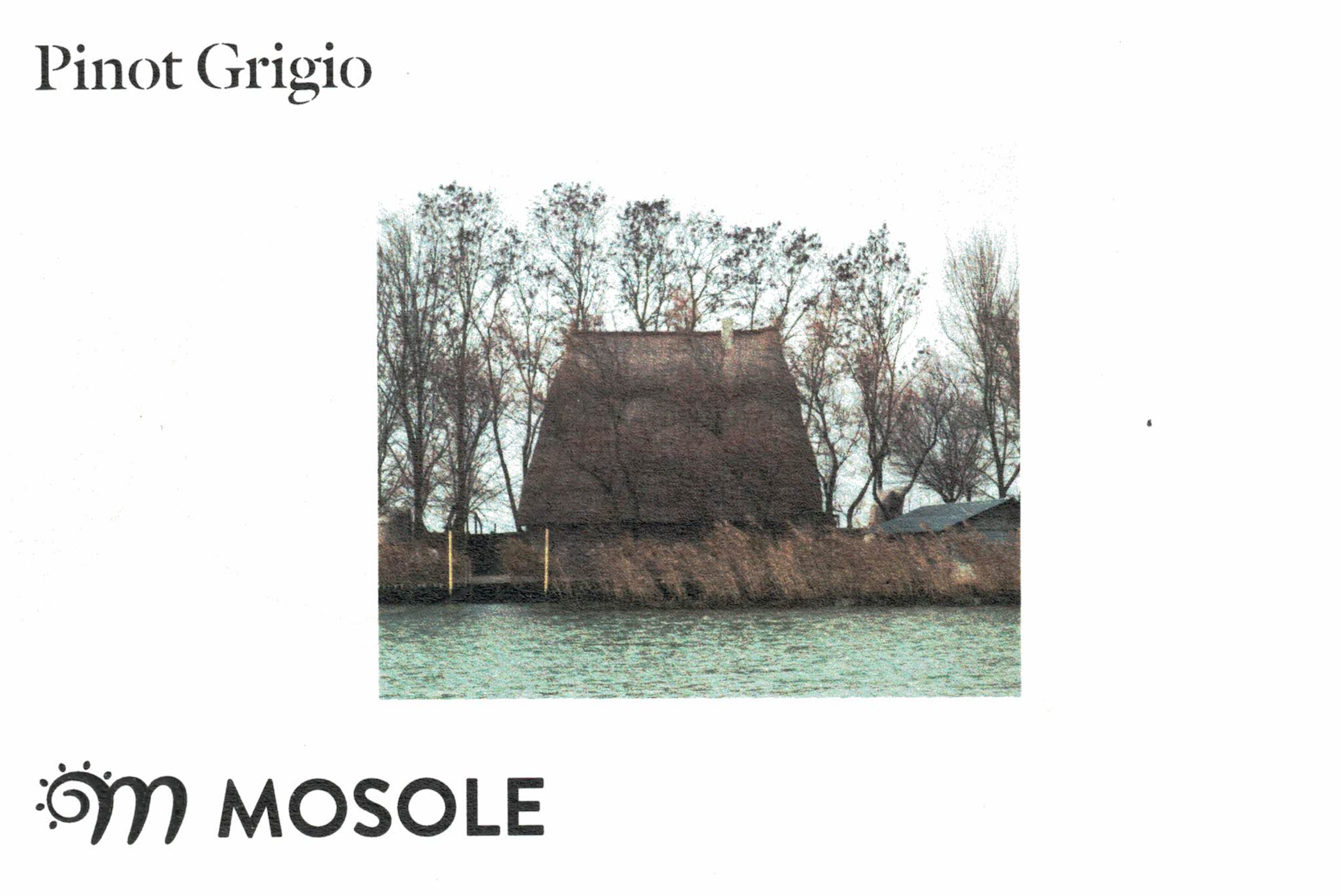 Om Mosole Venezia