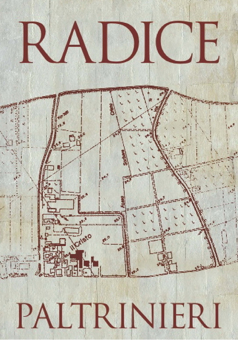 Radice