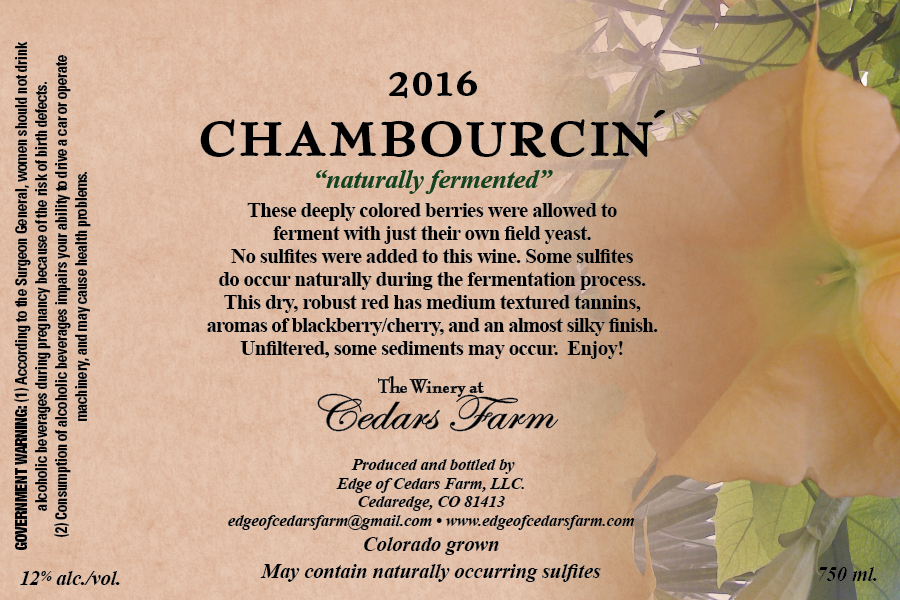 Chambourcin'