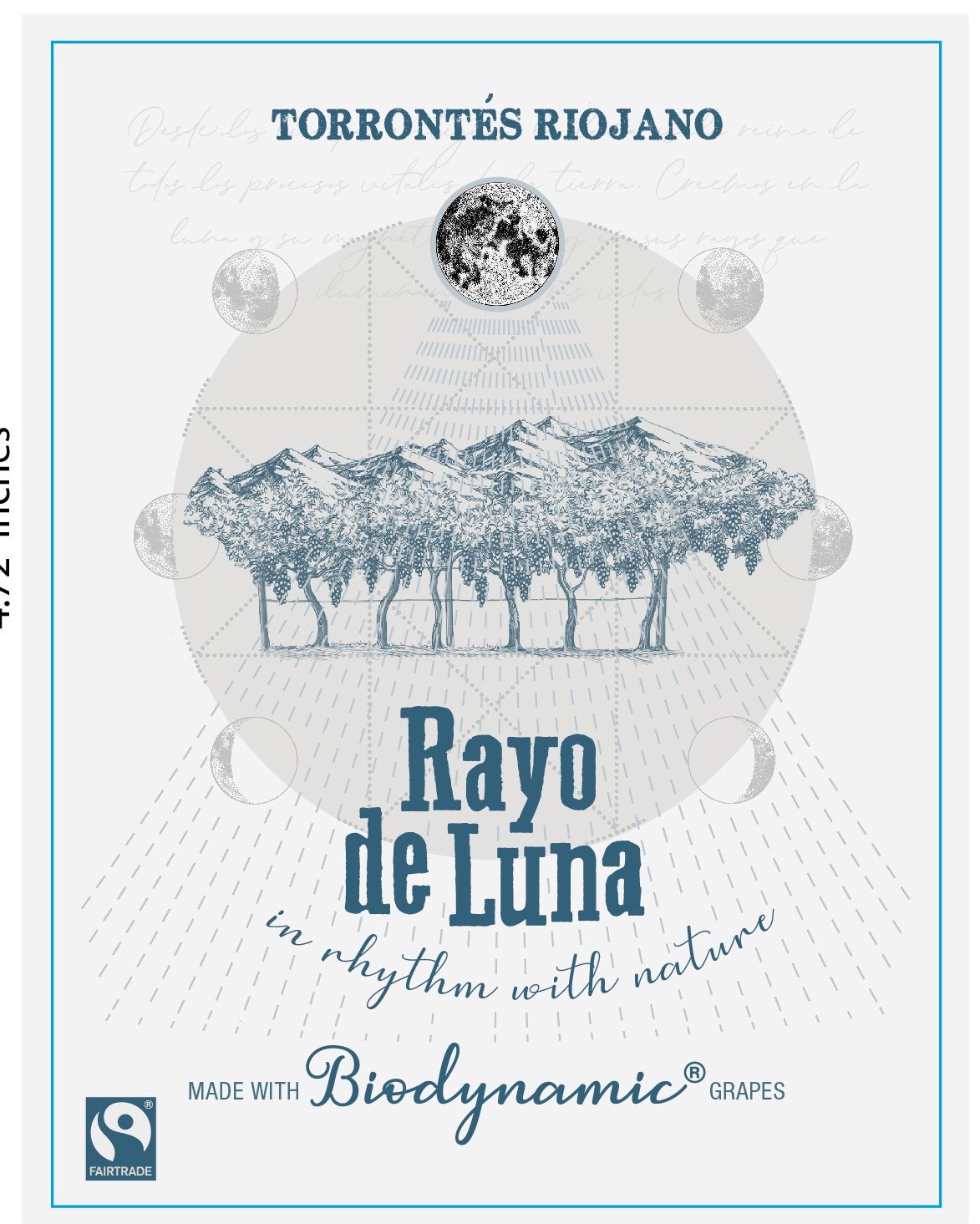 Rayo De Luna Torrontés Riojano