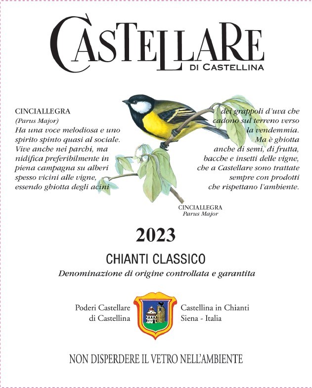 Chianti Classico Docg Red Wine