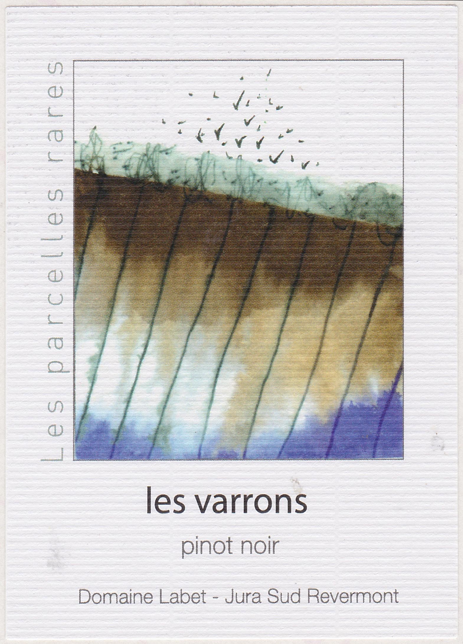 Les Varrons - Pinot Noir Massale