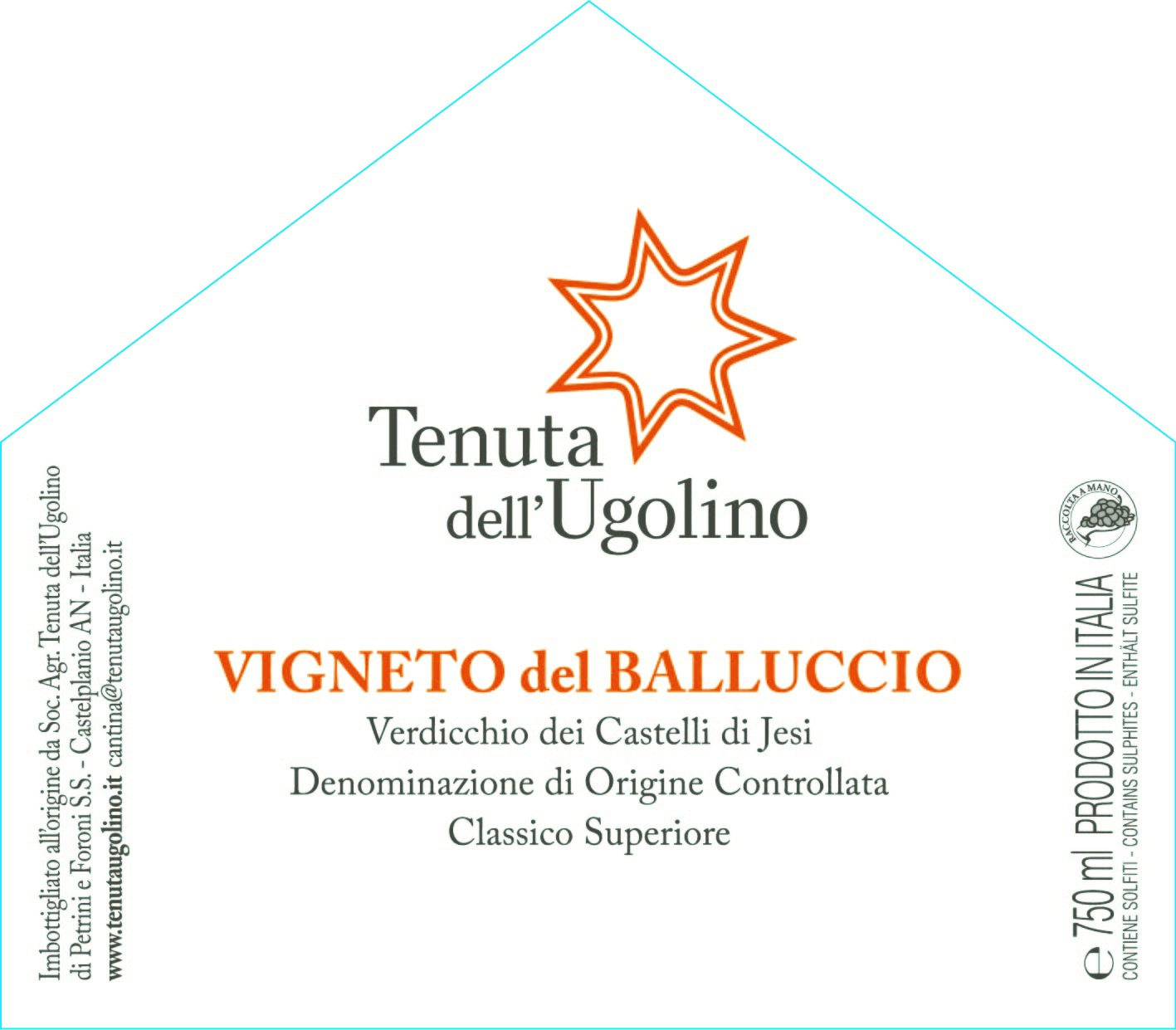 Vigneto Del Balluccio