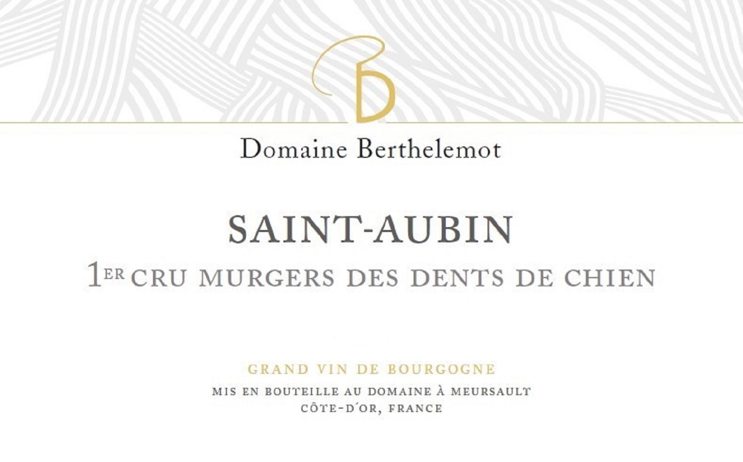 Murgers Des Dents De Chien