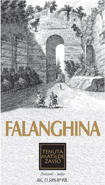 Falanghina