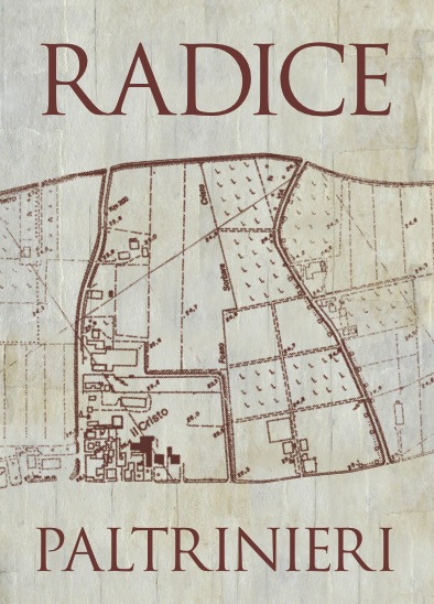 Radice