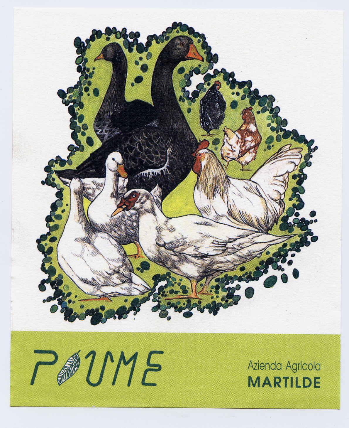 Piume