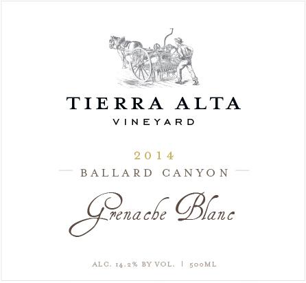 Tierra Alta Vineyard