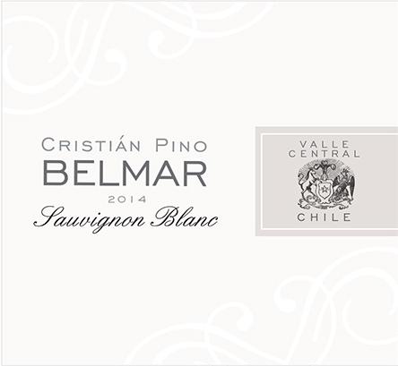 Cristian Pino Belmar