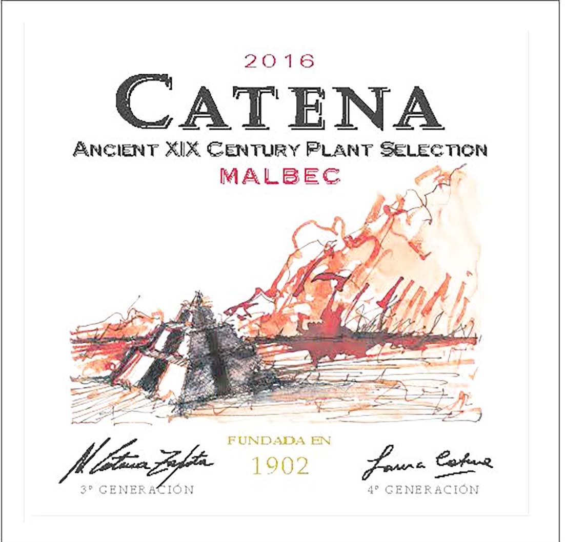 Ancient Xix Century Plant Selection