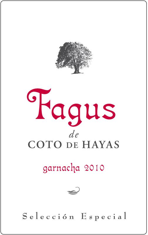 Fagus De Coto De Hayas