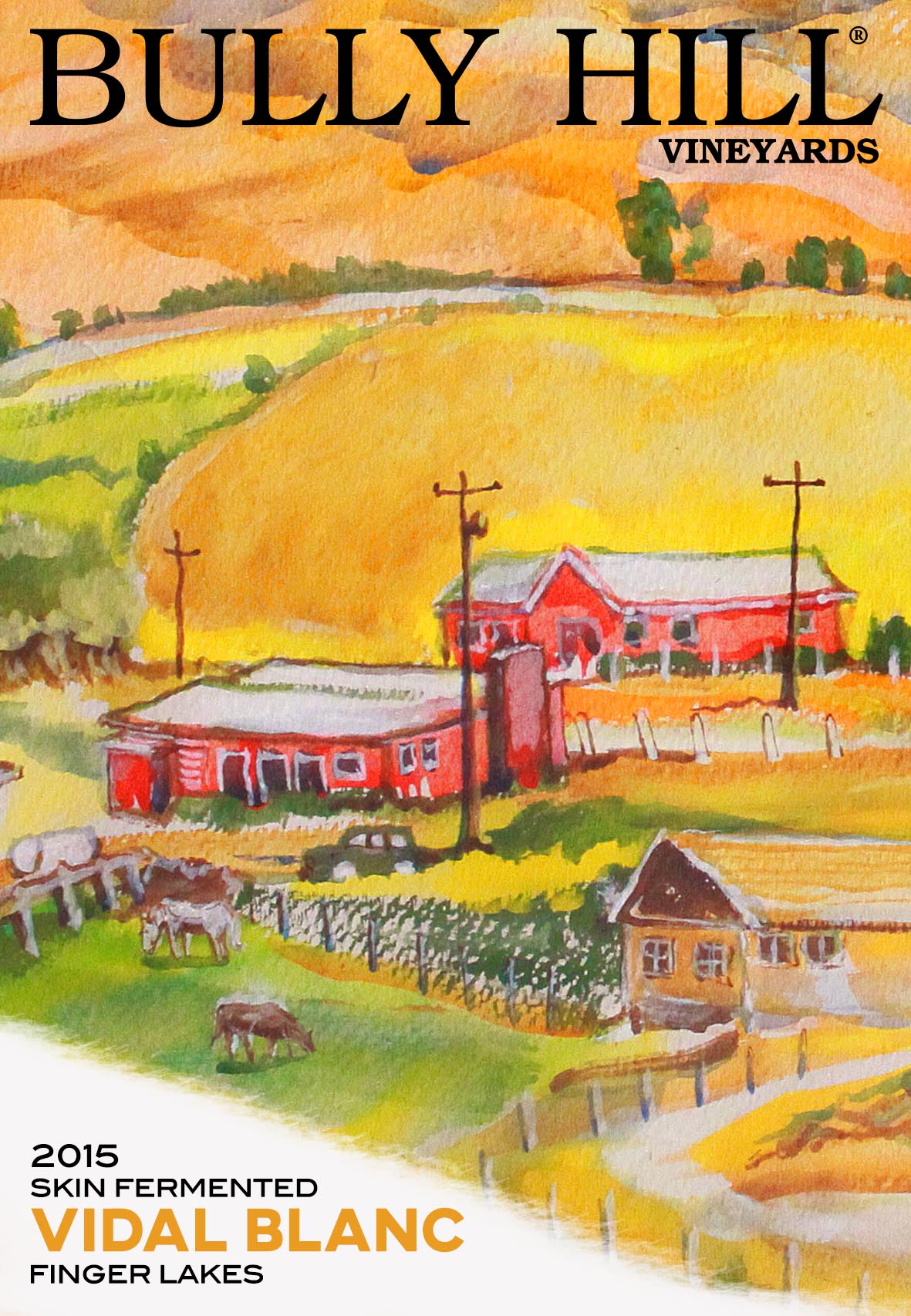 Skin Fermented Vidal Blanc