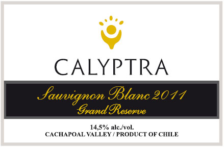 Sauvignon Blanc Grand Reserve