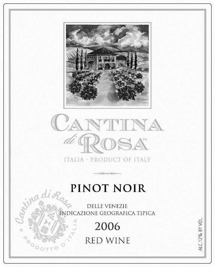 Pinot Noir Delle Venezie