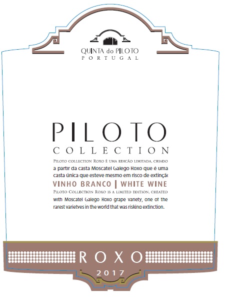 Piloto Collection