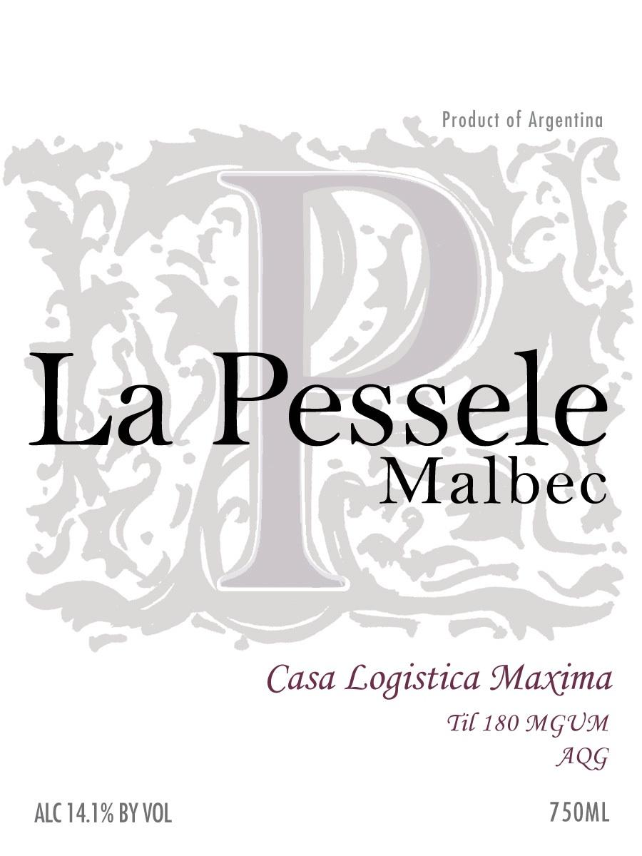 Malbec Algodon Vineyard