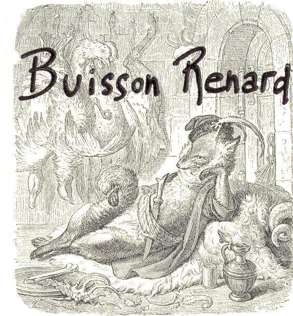Buisson Renard