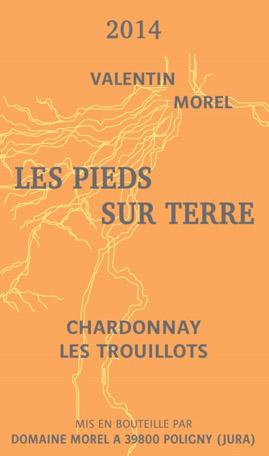 Les Trouillots - Les Pieds Sur Terre