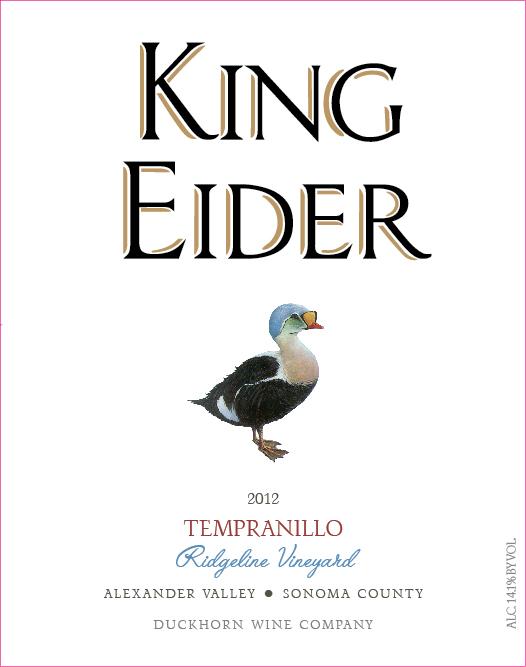 King Eider