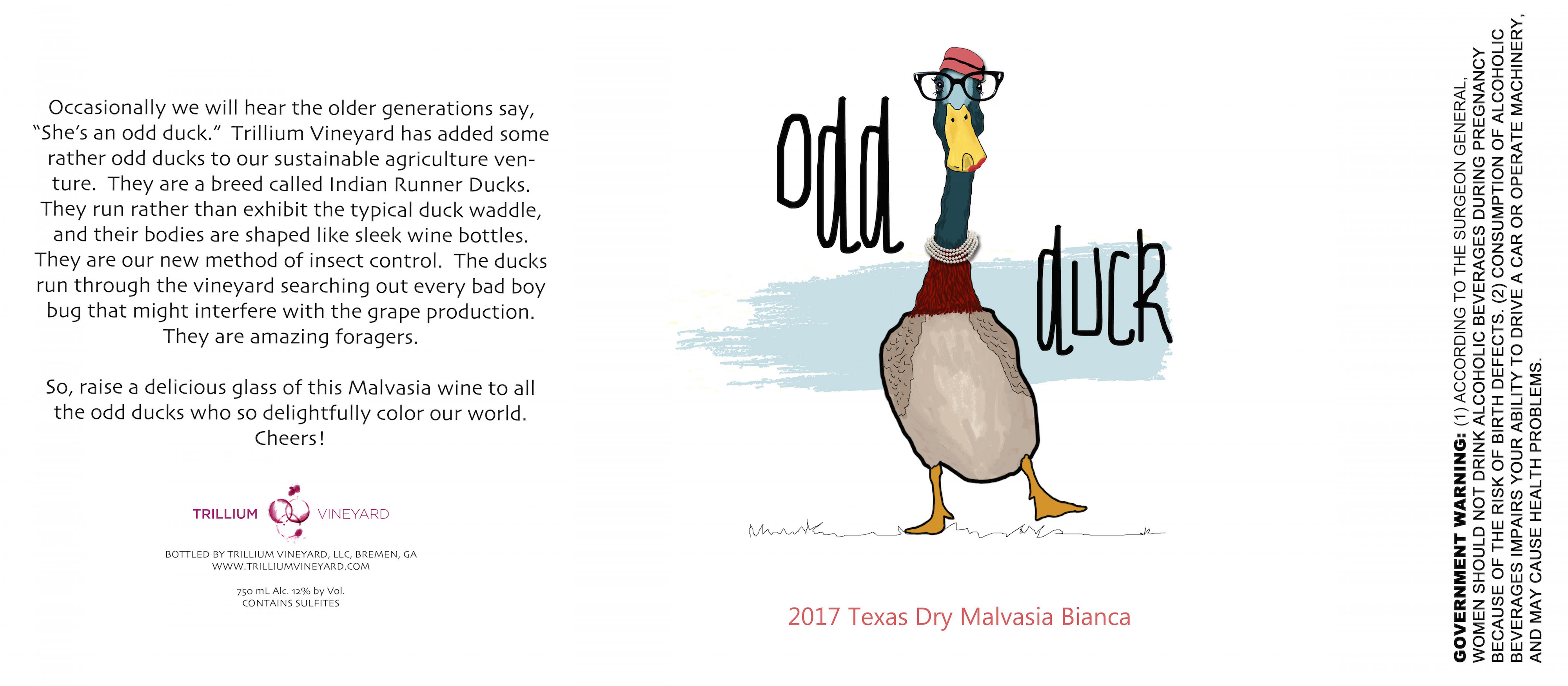 Odd Duck